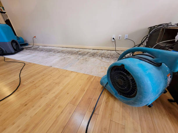 Professional Basement Flood Cleanup technician working in Ihlen, MN